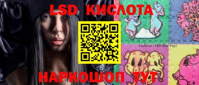 дмт Гай