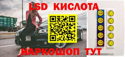 дмт Гай