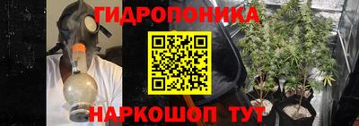 дмт Гай