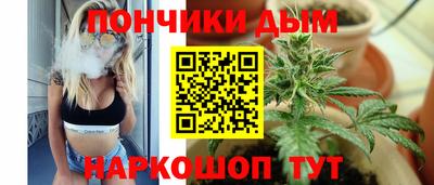 дмт Гай