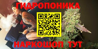 дмт Гай