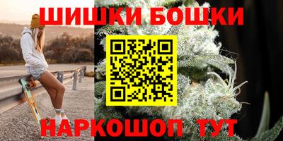 дмт Гай