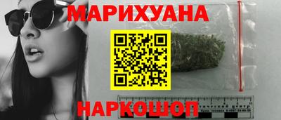 дмт Гай
