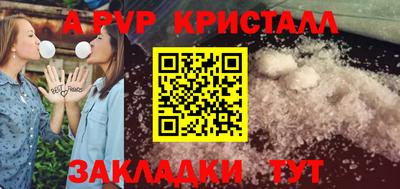 дмт Гай