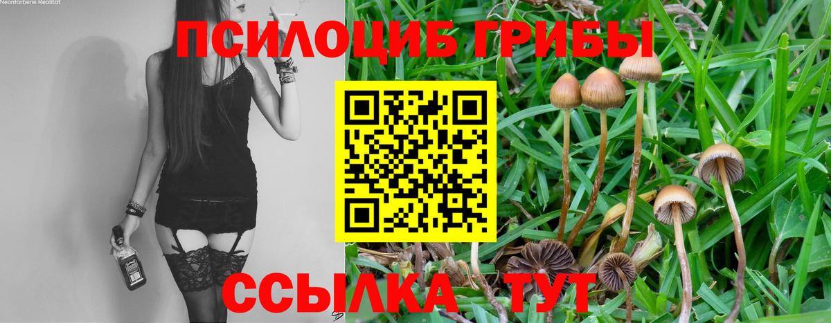 Псилоцибиновые грибы ЛСД Мценск