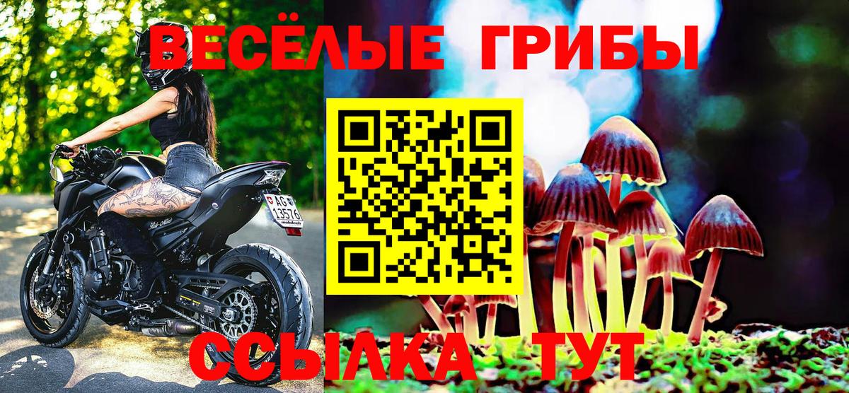 Мценск  закладка  Вход с VPN  Галлюциногенные грибы мухоморы 